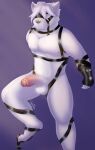  anthro hi_res male male/male mihoyo solo von_lycaon zenless_zone_zero 