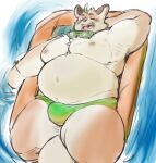  2023 anthro belly big_belly bulge canid canine clothing exe_exem eyes_closed fox iyo_(tamacolle) kemono lying male mammal moobs navel nipples overweight overweight_male solo swimwear tamacolle 
