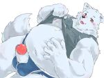  2023 anthro belly big_belly blush bodily_fluids bulge canid canine canis clothed clothing clothing_lift domestic_dog erection genital_fluids genitals hi_res humanoid_hands kemono male mammal moobs nipples okoge_16 overweight overweight_male penis precum shirt shirt_lift simple_background solo tongue tongue_out topwear underwear white_background 