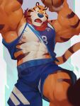  absurd_res action_pose anthro ball barazoku basketball_(ball) basketball_uniform big_muscles blue_nose clothing felid frosted_flakes fur hi_res kellogg&#039;s male mammal mascot mukum_1am muscular muscular_male nipples orange_body orange_fur pantherine pecs pose shirt solo sportswear striped_body striped_fur stripes tiger tony_the_tiger topwear torn_clothing torn_shirt torn_topwear uniform wardrobe_malfunction whiskers 