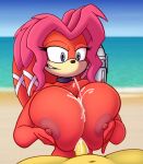  anthro archie_comics areola beach big_breasts bodily_fluids breast_play breast_squish breasts choker cum duo echidna female genital_fluids grin hair hi_res jewelry lien-da male male/female mammal monotreme necklace nipples pink_hair raki_boi red_body sea seaside sega sex smile smug sonic_the_hedgehog_(archie) sonic_the_hedgehog_(comics) sonic_the_hedgehog_(series) squish titfuck water 