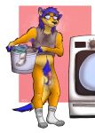  anthro balls blue_hair body_hair clothing drevin_drgnwuff eyewear footwear genitals glasses hair hairy herpestid hi_res laundry_basket male mammal meerkat musk nonchalant pubes saggy_balls socks solo tigerthemeerkat 