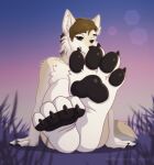  aliscik animated anthro canid canine canis claws dusk feet foot_fetish grass hi_res male mammal outside pawpads paws plant sabbyth solo teasing toe_pads toes twilight wiggle wolf 