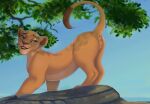  anatomically_correct anatomically_correct_genitalia anatomically_correct_pussy animal_genitalia animal_pussy disney felid feline_genitalia feline_pussy female feral genitals hailberry hi_res lion mammal pantherine pussy raised_tail sarafina_(the_lion_king) solo tail the_lion_king 