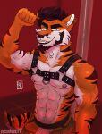  acidwuff alternate_version_at_source anthro black_hair black_harness cheek_tuft clothing ear_piercing ear_ring facial_tuft felid flexing fur green_eyes hair harness hi_res jockstrap looking_at_viewer male mammal muscular muscular_anthro muscular_male orange_body orange_fur pantherine piercing ring_piercing short_hair solo standing striped_arms teeth tiger tuft underwear undressing white_body white_fur 