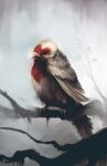  2016 ambiguous_gender ari_ibarra avian beady_eyes bird branch claws feathered_wings feathers feral folded_wings foreground_silhouette grey_background hi_res on_branch oscine passerine perched red_body red_eyes red_feathers simple_background solo sparrow tail_feathers white_beak white_body white_feathers wings 