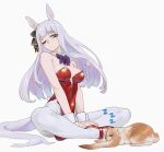  1girl absurdres animal animal_ears breasts closed_mouth detached_collar ear_ornament english_commentary gold_ship_(umamusume) grey_hair highres horse_ears horse_girl horse_tail indian_style leotard long_hair medium_breasts nontraditional_playboy_bunny one_eye_closed pantyhose purple_eyes rabbit red_footwear red_leotard sarcophage shoes simple_background sitting solo strapless strapless_leotard tail umamusume white_background white_pantyhose wrist_cuffs zzz 