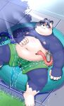  2023 anthro bear belly big_belly black_nose blush bottomwear clothing detailed_background dokyudokyu1 giant_panda hi_res humanoid_hands kemono lying male mammal moobs navel nipples overweight overweight_male shorts solo swimwear white_body 