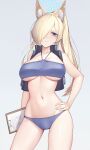  1girl absurdres animal_ear_fluff animal_ears bandeau bare_arms bare_shoulders bikini blonde_hair blue_archive blue_bikini blue_eyes breasts chun_bae clipboard commentary cowboy_shot grey_background hair_over_one_eye halterneck hand_on_own_hip highres kanna_(blue_archive) large_breasts long_hair looking_at_viewer navel ponytail simple_background solo standing stomach swimsuit thighs vest 