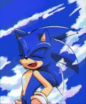  1boy animal_ears animal_nose chromatic_aberration closed_eyes cloud commentary_request furry furry_male gloves korean_commentary male_focus malleng_sonic open_mouth smile solo sonic_(series) sonic_the_hedgehog standing white_gloves 