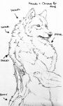  anthro butt canid canine canis fur hi_res lupesilverwind male mammal paper pen_and_ink raised_hackles solo text were werecanid werecanine werewolf wolf 