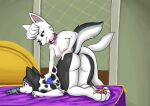  anthro bed black_body black_fur breasts canid canine canis clothed clothing collar diacordst domestic_dog duo fan_character female fur furniture hair hand_on_back hand_on_butt hi_res hunting_dog husky inside male male/female mammal nipples nordic_sled_dog nude partially_clothed paw_patrol pink_eyes regalia smile smirk spitz sweetie_(paw_patrol) terrier west_highland_white_terrier white_body white_fur white_hair 