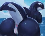  anthro anus bent_over big_butt black_body black_skin blue_eyes butt cetacean cloud dolphin female genitals mammal marine oceanic_dolphin orca outside presenting presenting_hindquarters pussy ratatooey rear_view sea sky smile solo toothed_whale water wet 
