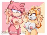  aged_up amy_rose annoyed annoyed_expression anthro big_breasts breasts brown_body brown_eyes brown_fur cream_the_rabbit duo eulipotyphlan female fur genitals green_eyes hedgehog lagomorph leporid mammal multicolored_body multicolored_fur nude pink_body pink_fur pussy rabbit redken_dex sega smug smug_face sonic_the_hedgehog_(series) two_tone_body two_tone_fur 