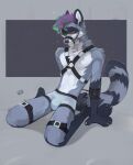  2023 alikars anthro arm_spreader bdsm bedroom_eyes bondage bondage_gear bound bulge canid canine canis cheek_tuft claws clothed clothing digital_media_(artwork) digitigrade facial_tuft feet finger_claws fluffy fluffy_tail genital_outline hair harness hi_res highlights_(coloring) hybrid kneeling leaning leaning_back male mammal muzzle_(object) muzzled narrowed_eyes paws procyonid raccoon reclining restraints seductive sitting solo spreader_bar straps tail toe_claws topless tuft underwear underwear_only wolf 