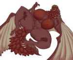  anthro anus bazelgeuse big_breasts big_butt breasts butt capcom claws female flying_wyvern genitals huge_breasts looking_at_viewer membrane_(anatomy) membranous_wings monster_hunter navel nipples pussy riipley scales scalie sharp_teeth slightly_chubby solo spread_legs spreading teeth thick_thighs wide_hips wings 