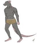  anthro barefoot boxers_(clothing) clothing feet hi_res male mammal murid murine nipples notched_ear pink_feet pink_hands pink_nipples pink_tail rat rodent scar slim small_waist solo sourmagic tail underwear yellow_eyes 