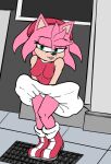  accidental_flashing amy_rose anthro bottomwear clothed clothing dress eulipotyphlan female hedgehog lewdsharx mammal raised_bottomwear raised_clothing raised_skirt sega skirt solo sonic_the_hedgehog_(series) vent wind_blowing_skirt 