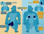  2023 abs absurd_res alligatorid anatomically_correct anatomically_correct_cloaca anatomically_correct_genitalia anatomically_correct_penis animal_genitalia anthro anus artist_logo azurlligator balls big_breasts big_butt blue_balls blue_body blue_claws blue_cloaca blue_eyes blue_lips blue_nipples blue_penis blue_scales breasts bulging_neck butt clawed_fingers claws cloaca cloacal cloacal_penis crocodilian digital_drawing_(artwork) digital_media_(artwork) duo facial_scar fangs feet female fist flat_colors genitals hi_res lips logo long_tail looking_at_viewer male membrane_(anatomy) model_sheet multicolored_body multicolored_scales muscular muscular_anthro muscular_female muscular_male nathile_tiduna nipples nude pecs penis pupils reptile scales scalie scar scutes skywater slit slit_pupils spread_cloaca spreading tail teeth text thick_bottom_lip thick_thighs thigh_gap toe_claws toes webbed_feet webbed_hands wide_hips wide_tail yellow_scutes 