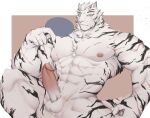  1boy abs animal_ears arknights artist_request bara completely_nude erection facial_hair feet_out_of_frame furry furry_male goatee highres large_hands large_pectorals looking_at_viewer male_focus mountain_(arknights) muscular muscular_male navel nipples nude one_eye_closed pectorals penis pointing pointing_at_penis pointing_at_self scar scar_across_eye scar_on_arm short_hair solo stomach thick_eyebrows tiger_boy tiger_ears uncensored veins veiny_penis white_hair 