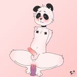  anal anal_masturbation anal_penetration anthro anus balls bear blush bodily_fluids body_blush choker dildo dildo_in_ass dildo_insertion dildo_sitting elponda erection eyes_closed fur genital_fluids genitals giant_panda hands_behind_back hi_res humanoid_genitalia humanoid_penis jewelry lube male mammal masturbation necklace object_in_ass paws penetration penis perineum precum sex_toy sex_toy_in_ass sex_toy_insertion solo struggling_to_fit sweat tagme toying_self white_body white_fur x_nipples 