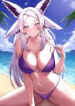  1girl absurdres animal_ears azuukichan beach bikini breasts cleavage closed_mouth cloud collarbone day dyarikku_(vtuber) fox_ears fox_girl grey_eyes highres huge_breasts lens_flare long_hair looking_at_viewer navel ocean outdoors palm_tree purple_bikini scar scar_on_face sitting smile solo stomach strap_pull swimsuit tree virtual_youtuber vyugen white_hair 