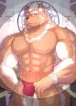  anthro bandage bandaged_arm biceps bulge canid canine canis clothing fur hi_res hybrid lifewonders looking_at_viewer male mammal marchosias_(tas) muscular muscular_male nipples ortwin_rd pecs scratch_mark stage_lights tokyo_afterschool_summoners underwear wolfdog 