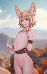  animal_humanoid armlet big_ears blonde_hair breasts canid canid_humanoid canine canine_humanoid cringing female fennec_humanoid flat_chested fluffy fluffy_tail fox_humanoid front_view genitals hair hi_res humanoid inner_ear_fluff jewelry khiara_(personalami) mammal mammal_humanoid necklace nude outside pale_skin personalami pussy sky slim small_breasts solo standing tail tuft yellow_eyes 