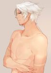  1boy expressionless final_fantasy final_fantasy_i from_side furrowed_brow hand_on_own_arm highres long_hair male_focus nini_tw99 ponytail purple_eyes simple_background solo standing tan tanlines topless_male warrior_of_light_(ff1) white_hair 