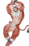  anthro arms_tied balls blush bound bovid bovine brown_eyes cattle erection facial_piercing fur genitals hi_res humanoid_genitalia humanoid_penis male mammal muscular muscular_male nipples nose_piercing nose_ring penis piercing red_body red_fur ring_piercing seatohao simple_background solo tail 