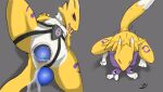  absurd_res bandai_namco buttplug digimon digimon_(species) hi_res male plug_(sex_toy) renamon sex_toy solo ulithefurry 