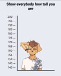  2023 anthro bridge_piercing brown_body brown_fur brown_hair canid canine canis chart clothed clothing digital_media_(artwork) domestic_dog ear_piercing eyebrow_piercing facial_piercing floppy_ears fur gauged_ear hair height_chart hi_res kemono looking_at_viewer male male_anthro mammal nose_piercing piercing shirt short_hair solo spitz t-shirt tan_body tan_fur tinygaypirate topwear 