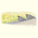  animal_focus bird commentary_request dated_commentary day field grass highres no_humans original outdoors partial_commentary pigeon sidewalk terao_(omelettera) 