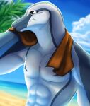  absurd_res anthro blue_eyes blue_sky cetacean cloud dolphin glistening glistening_eyes grey_body hi_res kuttoyaki male mammal marine mouth_closed outside sky solo toothed_whale towel towel_around_neck white_body 