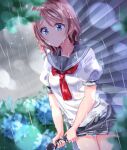  1girl bad_id bad_twitter_id blue_eyes blue_panties blurry bokeh chigusa_minori commentary_request depth_of_field flower grey_hair grey_skirt hydrangea love_live! love_live!_sunshine!! miniskirt neckerchief outdoors overcast panties pleated_skirt rain red_neckerchief school_uniform serafuku shirt short_hair short_sleeves skirt sky solo underwear uranohoshi_school_uniform watanabe_you wet wet_clothes white_shirt wringing_clothes wringing_skirt 