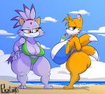  2_tails anthro beach big_breasts big_butt bikini black_pupils blaze_the_cat blue_eyes breasts butt canid canine cleavage clothed clothing container cup dipstick_tail domestic_cat drinking duo felid feline felis female forehead_gem fox half-closed_eyes hand_on_hip hi_res huge_breasts huge_thighs mammal markings miles_prower multi_tail narrowed_eyes plaga pupils purple_body seaside sega smile sonic_the_hedgehog_(series) swimwear tail tail_markings thick_thighs yellow_eyes 