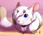  2017 2_horns 3_toes :3 ambiguous_gender big_tail blue_eyes blush bow_(feature) bow_tie bow_tie_only brown_highlights brown_horn chinchilla chinchillid claws digital_media_(artwork) dipstick_ears dipstick_tail eyelashes feet feral feral_with_hair front_view fur hair hair_over_eye highlights_(coloring) horn icon looking_at_viewer looking_forward mammal markings mostly_nude multicolored_ears nude one_eye_obstructed pink_background pink_inner_ear pink_nose quadruped rodent shaded shikaro shikaro_(character) short_horn signature simple_background small_horn solo standing tail tail_markings tan_markings toe_claws toes whiskers white_body white_fur 