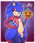  absurd_res anthro bedroom_eyes bottomless bottomless_male clothed clothing cosplay erection eulipotyphlan food fruit halloween hedgehog hi_res holidays legwear looking_at_viewer male male_(lore) mammal narrowed_eyes plant pumpkin renegade-157 seductive sega solo sonic_the_hedgehog sonic_the_hedgehog_(series) thigh_highs 