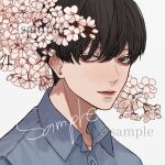  1boy bishounen black_eyes black_hair blue_shirt branch cherry_blossoms closed_mouth collared_shirt commission highres kagoya1219 looking_at_viewer male_focus original portrait sample_watermark shirt short_hair simple_background solo watermark white_background 