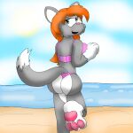  anthro beach bikini brown_hair clothing domestic_cat feet felid feline felis female foot_focus fur green_eyes grey_body grey_fur hair hi_res mammal mrsilveralpha pawpads raised_leg seaside solo steve_and_friends swimwear terry_kenny 