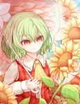  1girl absurdres closed_mouth commentary flower green_hair highres holding holding_umbrella kazami_yuuka long_sleeves parasol plaid plaid_vest red_eyes red_vest ro.ro short_hair smile solo sunflower touhou umbrella upper_body vest yellow_flower 