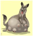  2023 6_breasts areola belly big_belly black_nose black_pawpads breasts canid canine canis crotch_breasts digital_drawing_(artwork) digital_media_(artwork) domestic_dog eyebrows eyelashes feet female feral fur green_eyes grey_body grey_fur hi_res mammal multi_areola multi_breast multi_nipple nipples pawpads paws pink_tongue pregnant pregnant_female priestofjashin quadruped simple_background solo spread_toes toes tongue tongue_out wide_belly 