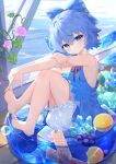  1girl absurdres barefoot bloomers blue_bow blue_dress blue_eyes blue_hair blush bow breasts cirno closed_mouth detached_wings dress fairy flower food fruit grapes hair_between_eyes hair_bow highres ice ice_cube ice_wings kuroida looking_at_viewer morning_glory orange_(fruit) pink_flower short_hair small_breasts soles solo toes touhou white_bloomers wings 