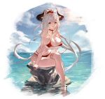  absurdres aliza_(granblue_fantasy) bikini blue_sky breasts brown_eyes cloud granblue_fantasy grey_hair hair_ornament hair_pulled_back hair_scrunchie highres horns large_breasts long_hair ocean pointy_ears red_bikini red_scrunchie scrunchie sitting_on_rock sky swimsuit thigh_strap yu_pian 