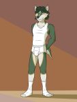  anthro blue_eyes briefs bulge clothing footwear fur fuze grey_body grey_fur hi_res link_(wolf_form) male nintendo open_mouth shirt smile socks solo tan_body tan_fur tank_top teeth_showing the_legend_of_zelda tighty_whities topwear underwear white_briefs white_clothing white_footwear white_shirt white_socks white_tank_top white_topwear white_underwear 