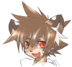  :d anthro brown_body brown_fur brown_hair canid canine canis domestic_dog fur hair headshot_portrait jeacn kemono looking_at_viewer male mammal portrait red_eyes smile solo stripes teeth yota(jeacn) 