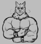  anthro canid canine dynogreeno fist flexing fur hi_res male mammal muscular muscular_male nipples smile solo steam wristband 