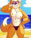  abs anthro biceps canid canine clothed clothing digital_media_(artwork) eyewear fizzyjay fox fur hi_res james_mccloud male mammal muscular muscular_anthro muscular_male nintendo nipples pecs solo speedo speedo_only star_fox sunglasses swimwear topless topless_anthro topless_male 