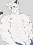  1boy abs bara cat_boy cat_tail furry furry_male grey_background heterochromia highres jcxraf large_pectorals light_blush looking_at_viewer male_focus motion_lines muscular muscular_male navel nipples original parted_lips pectorals penis_out_of_frame short_hair solo sweatdrop tail white_hair 