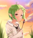  1girl ahoge closed_mouth cloud elf evening green_hair hands_up highres holding holding_wand hood hooded_jacket jacket mushoku_tensei outdoors phoebe_(pixiv_55159801) pointy_ears red_eyes shirt short_hair smile solo sylphiette_(mushoku_tensei) wand white_jacket white_shirt 